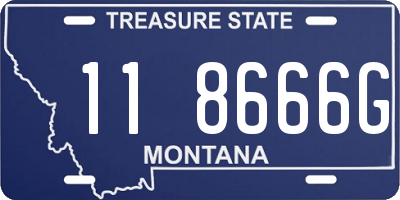 MT license plate 118666G