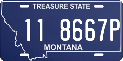 MT license plate 118667P