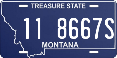 MT license plate 118667S