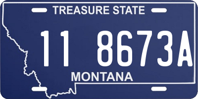 MT license plate 118673A