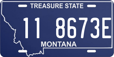 MT license plate 118673E