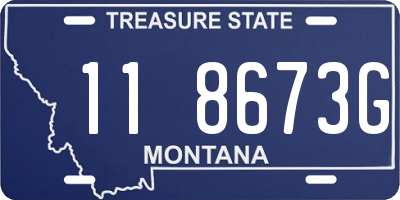 MT license plate 118673G