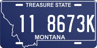 MT license plate 118673K