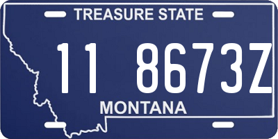 MT license plate 118673Z