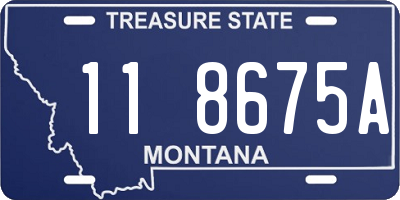 MT license plate 118675A