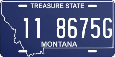MT license plate 118675G