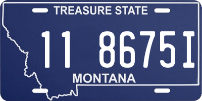 MT license plate 118675I