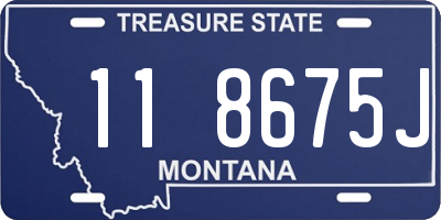 MT license plate 118675J