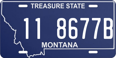 MT license plate 118677B