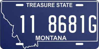 MT license plate 118681G