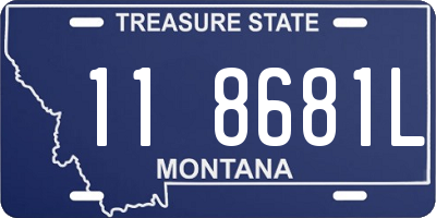 MT license plate 118681L