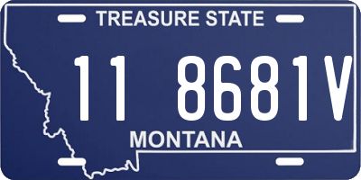 MT license plate 118681V