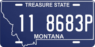 MT license plate 118683P