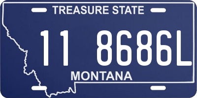 MT license plate 118686L