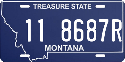 MT license plate 118687R