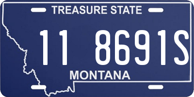 MT license plate 118691S