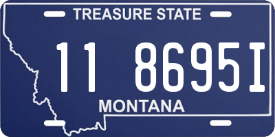 MT license plate 118695I