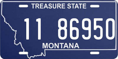 MT license plate 118695O