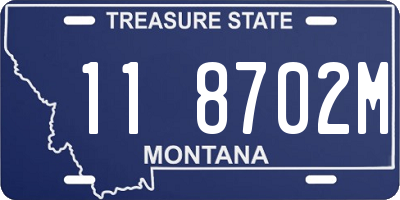 MT license plate 118702M