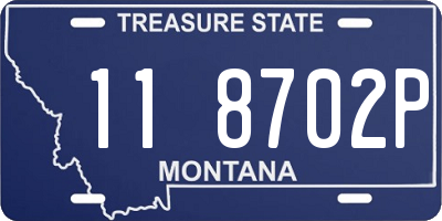 MT license plate 118702P