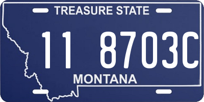 MT license plate 118703C