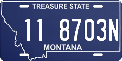 MT license plate 118703N