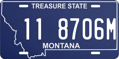 MT license plate 118706M