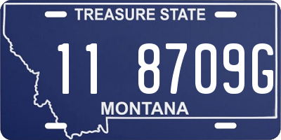 MT license plate 118709G