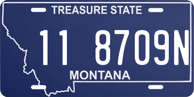 MT license plate 118709N