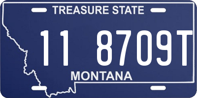 MT license plate 118709T