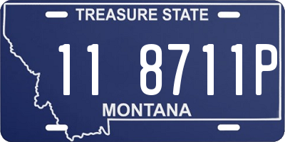 MT license plate 118711P