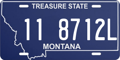 MT license plate 118712L