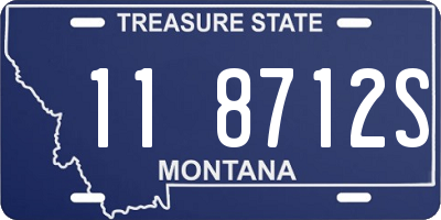 MT license plate 118712S