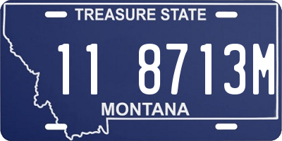 MT license plate 118713M