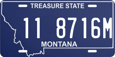 MT license plate 118716M
