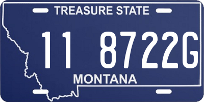 MT license plate 118722G