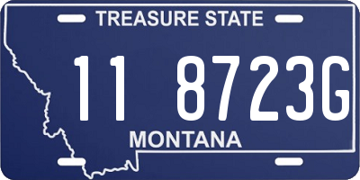 MT license plate 118723G