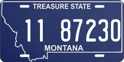 MT license plate 118723O