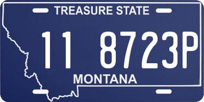 MT license plate 118723P