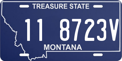 MT license plate 118723V