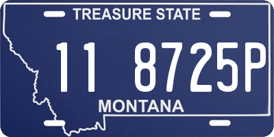MT license plate 118725P