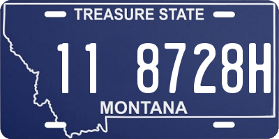 MT license plate 118728H