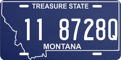MT license plate 118728Q