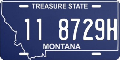 MT license plate 118729H