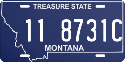 MT license plate 118731C