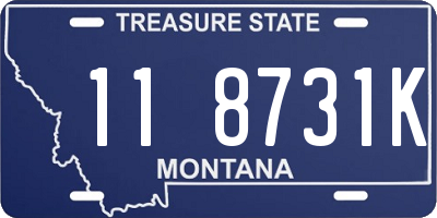 MT license plate 118731K