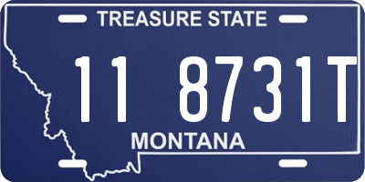 MT license plate 118731T