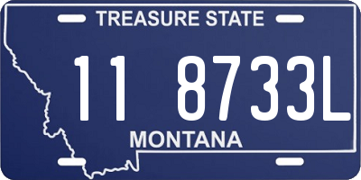 MT license plate 118733L