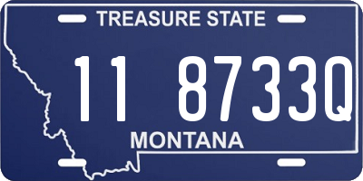 MT license plate 118733Q