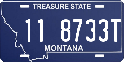 MT license plate 118733T